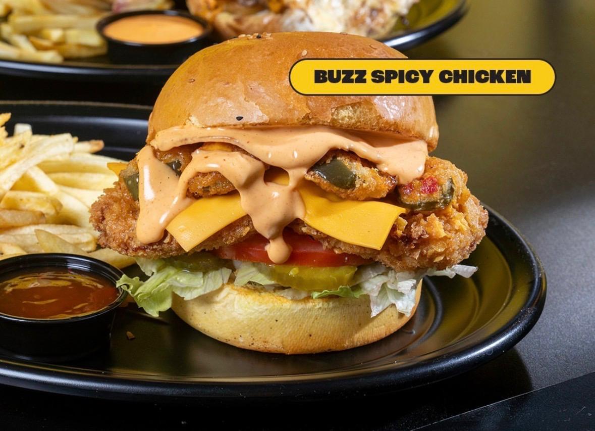 Spicy Chicken Burger